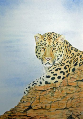 LMG Watercolour (4) 1.20